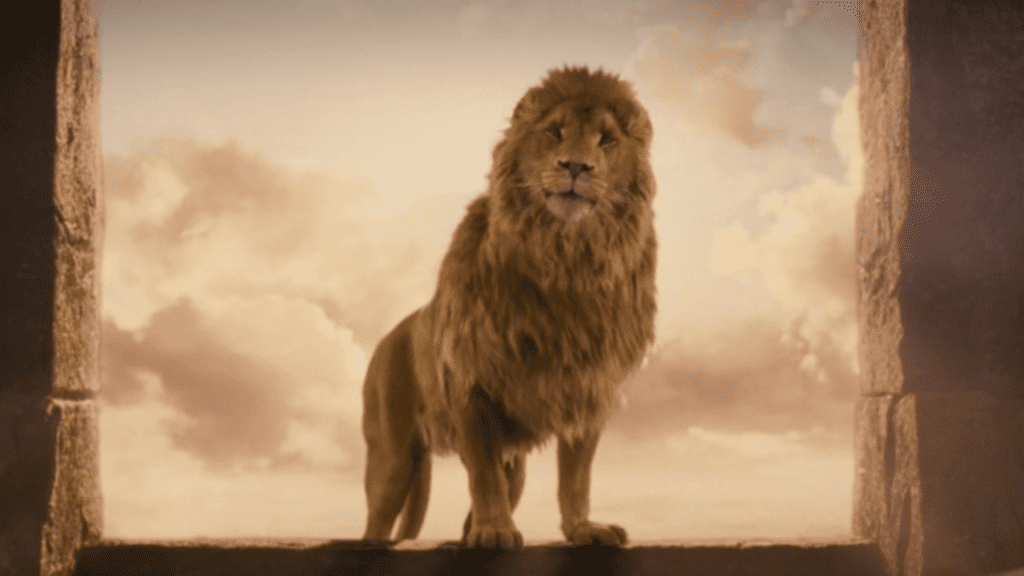Aslan TOM and CHILL