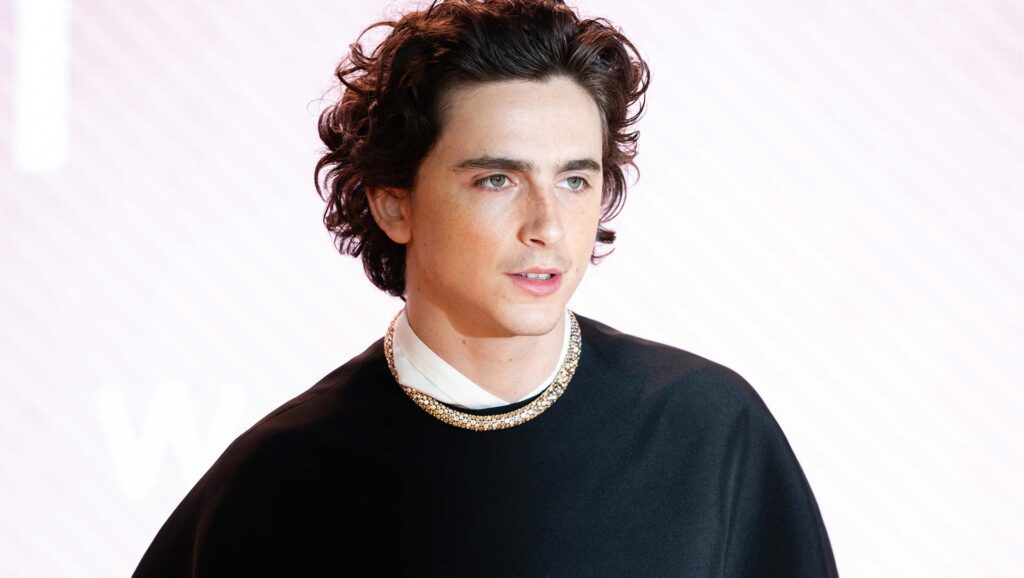 Timothée Chalamet star Tom Chill Η φωτεινή πλευρά του Θεάματος