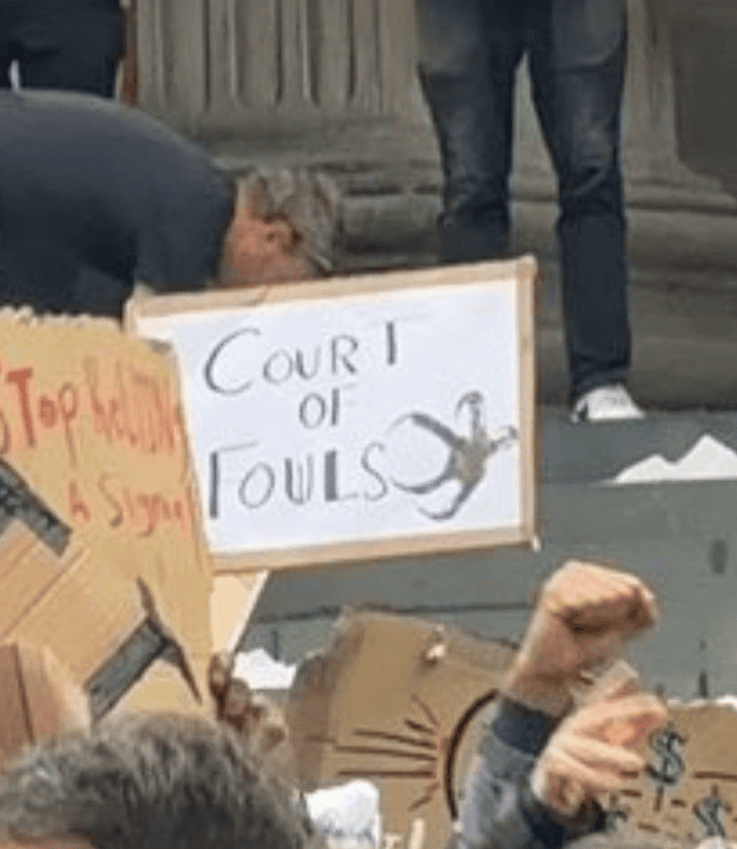 Courtofowls TOM and CHILL